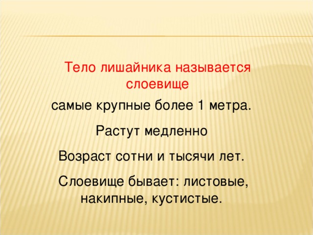 самые крупные более 1 метра. Растут медленно Возраст сотни и тысячи лет.  Слоевище бывает: листовые, накипные, кустистые. Тело лишайника называется слоевище 