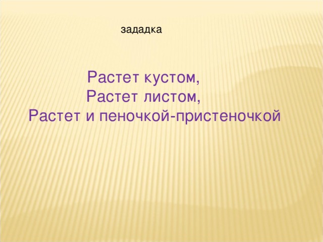 Растет кустом, Растет листом,  Растет и пеночкой‐пристеночкой  зададка 