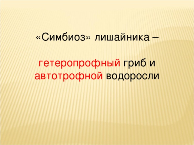 «Симбиоз» лишайника – гетеропрофный гриб и автотрофной водоросли 