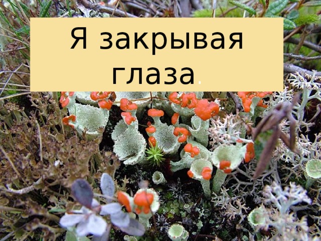 Я закрывая глаза . 