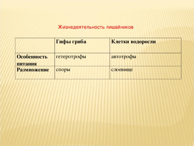 Жизнедеятельность лишайников Гифы гриба Особенность питания Клетки водоросли гетеротрофы Размножение  споры автотрофы слоевище 