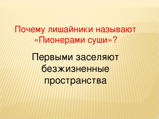 Почему лишайники называют «Пионерами суши»? Первыми заселяют безжизненные пространства 