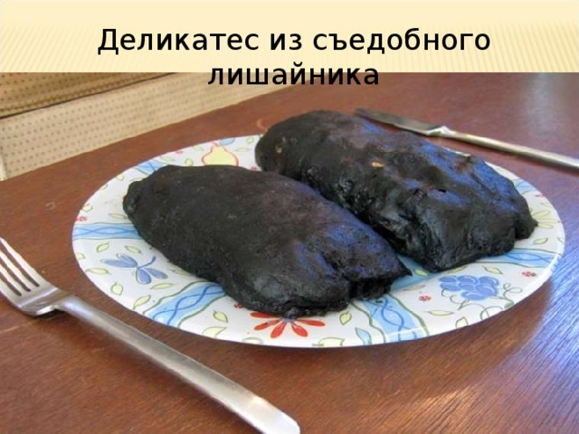 Деликатес из съедобного лишайника 