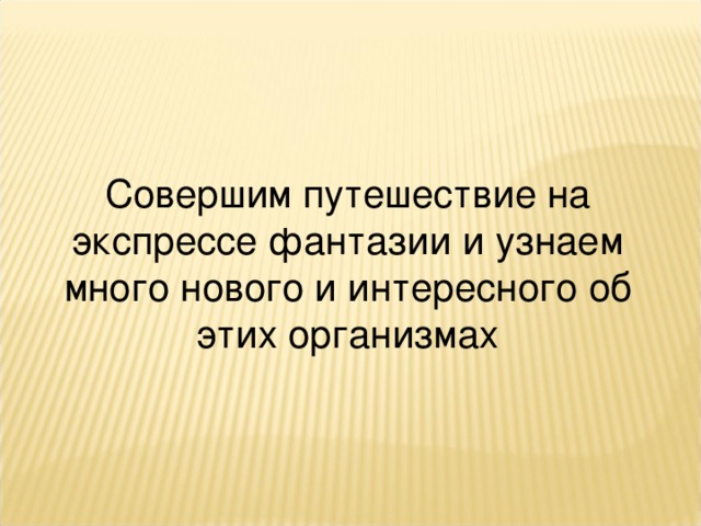 Совершим путешествие на экспрессе фантазии и узнаем много нового и интересного об этих организмах 