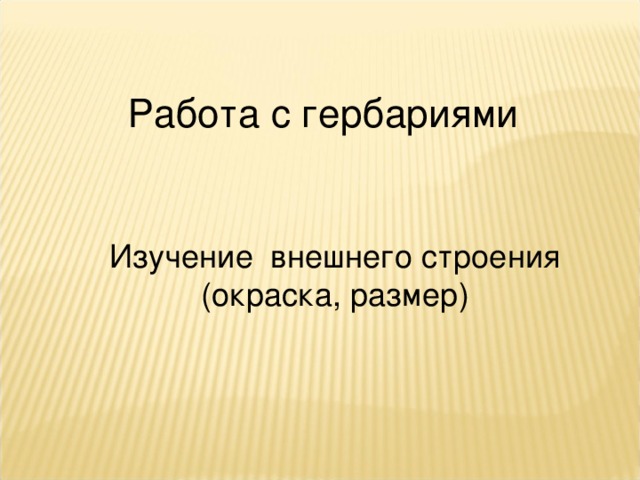 Работа с гербариями Изучение внешнего строения (окраска, размер) 