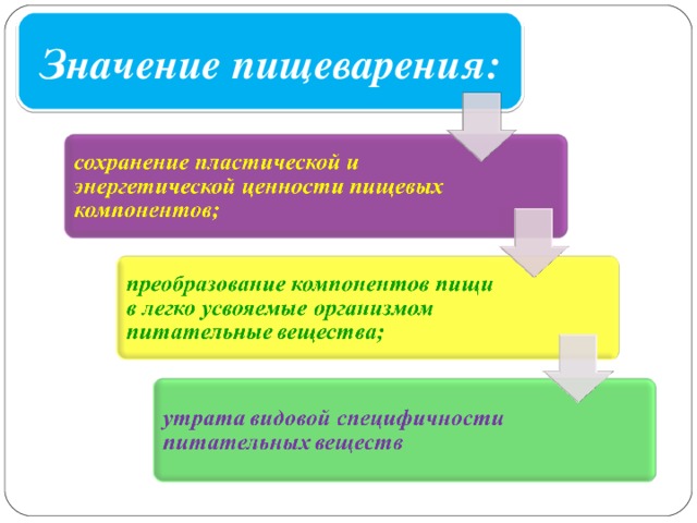 Презентация гигиена пищеварительной системы