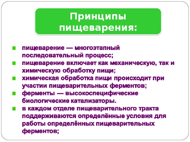 Найди принцип. Принципы пищеварения. Принципы системы пищеварения. .Основные принципы работы пищеварительной системы. Сущность и основные принципы пищеварения.