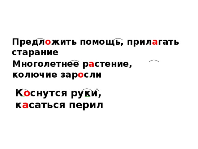 Предл о жить помощь, прил а гать старание Многолетнее р а стение, колючие зар о сли К о снутся руки, к а саться перил 