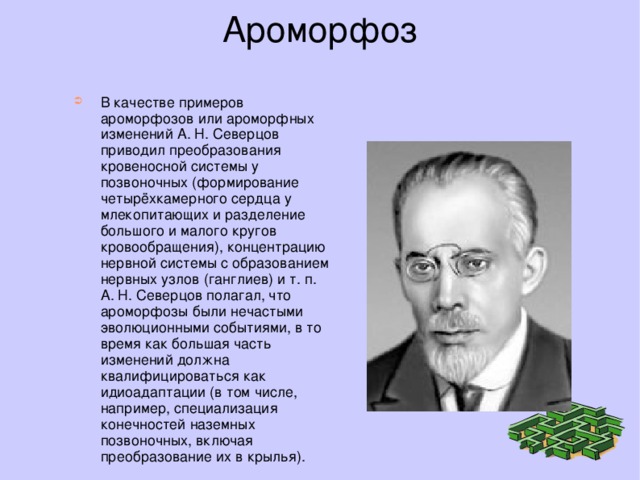 Ароморфоз   В качестве примеров ароморфозов или ароморфных изменений А. Н. Северцов приводил преобразования кровеносной системы у позвоночных (формирование четырёхкамерного сердца у млекопитающих и разделение большого и малого кругов кровообращения), концентрацию нервной системы с образованием нервных узлов (ганглиев) и т. п. А. Н. Северцов полагал, что ароморфозы были нечастыми эволюционными событиями, в то время как большая часть изменений должна квалифицироваться как идиоадаптации (в том числе, например, специализация конечностей наземных позвоночных, включая преобразование их в крылья). 