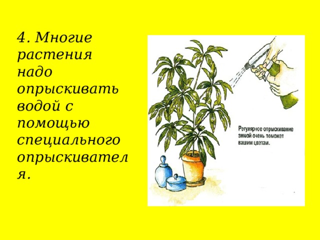 Где нужны цветы. Для чего растениям нужны цветки. Для образования кислорода растениям нужно.