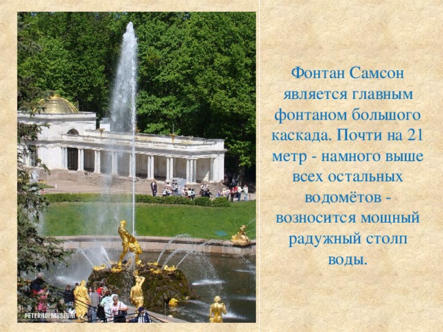 Петергоф фонтан самсон рисунок