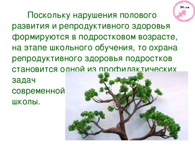 Поскольку нарушения полового развития и репродуктивного здоровья формируются в подростковом возрасте, на этапе школьного обучения, то охрана репродуктивного здоровья подростков становится одной из профилактических задач современной школы. 