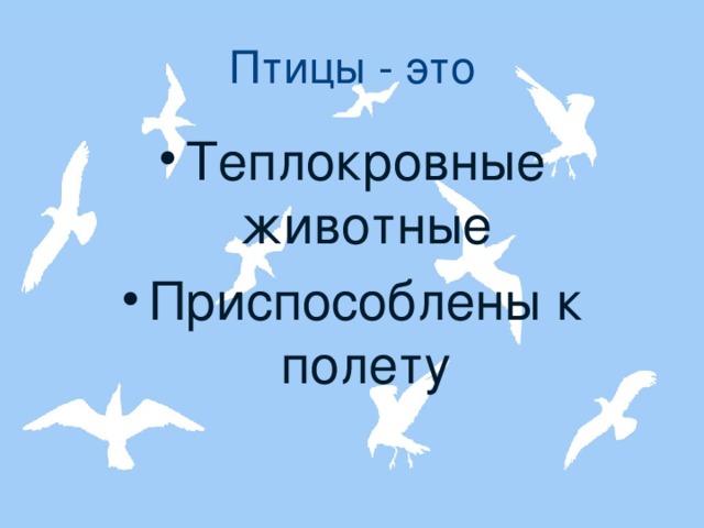 Птицы - это Теплокровные животные Приспособлены к полету    