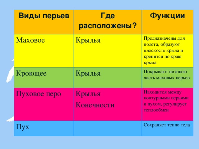 Виды перьев Где расположены? Маховое Функции Крылья Кроющее Предназначены для полета, образуют плоскость крыла и крепятся по краю крыла Крылья Пуховое перо Покрывают нижнюю часть маховых перьев Крылья Конечности Пух Находится между контурными перьями и пухом, регулирует теплообмен Сохраняет тепло тела 