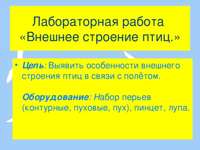 Лабораторная работа  «Внешнее строение птиц.» Цель :  Выявить особенности внешнего строения птиц в связи с полётом.   Оборудование : Н абор перьев (контурные, пуховые, пух), пинцет, лупа.   