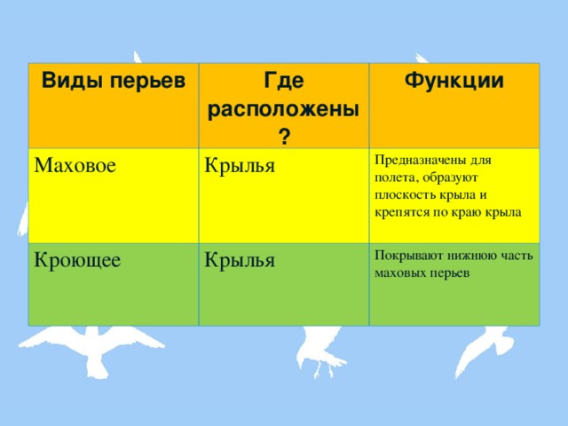 Виды перьев Где расположены? Маховое Функции Крылья Кроющее Предназначены для полета, образуют плоскость крыла и крепятся по краю крыла Крылья Покрывают нижнюю часть маховых перьев 