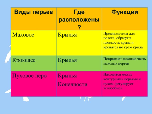 Виды перьев Где расположены? Маховое Функции Крылья Кроющее Предназначены для полета, образуют плоскость крыла и крепятся по краю крыла Крылья Пуховое перо Покрывают нижнюю часть маховых перьев Крылья Конечности Находится между контурными перьями и пухом, регулирует теплообмен 