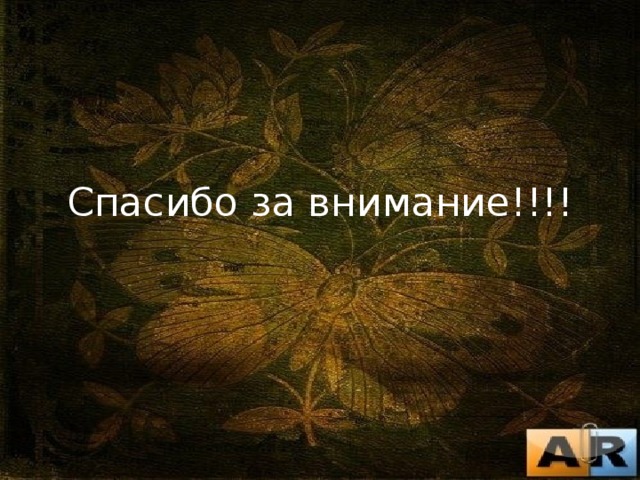 Спасибо за внимание!!!! 
