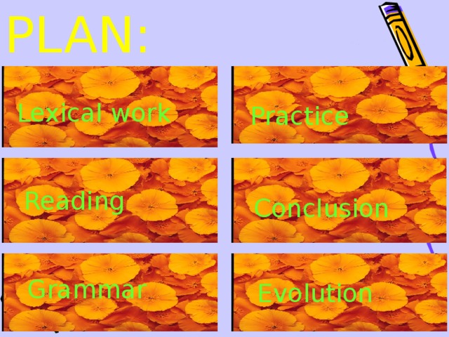 PLAN : Lexical work Practice Reading Conclusion Grammar Evolution 