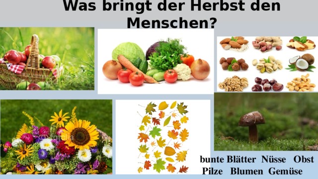 Was bringt der Herbst den Menschen? bunte Blätter Nüsse Obst Pilze Blumen Gemüse 