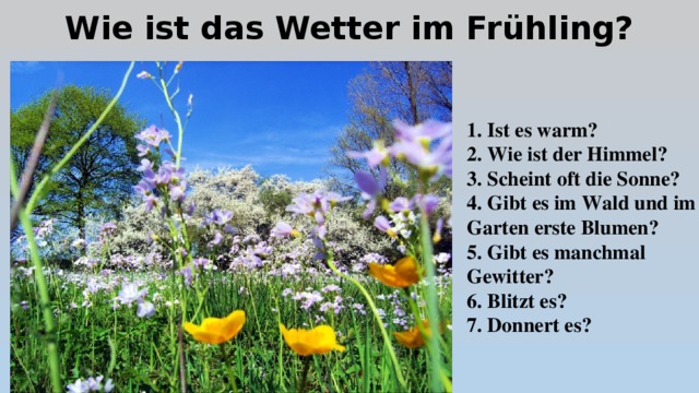 Wie ist das Wetter im Frühling? 1. Ist es warm? 2. Wie ist der Himmel? 3. Scheint oft die Sonne? 4. Gibt es im Wald und im Garten erste Blumen? 5. Gibt es manchmal Gewitter? 6. Blitzt es? 7. Donnert es? 
