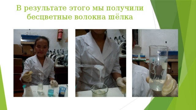 В результате этого мы получили бесцветные волокна шёлка 