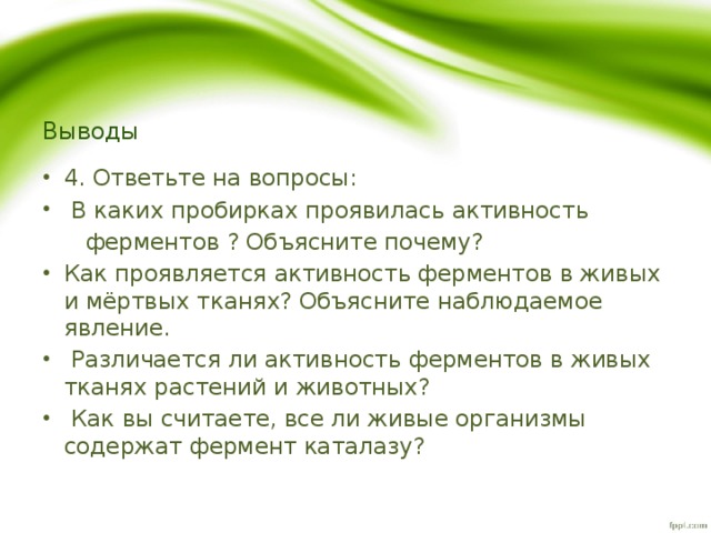 Различается ли активность в растительных животных тканях