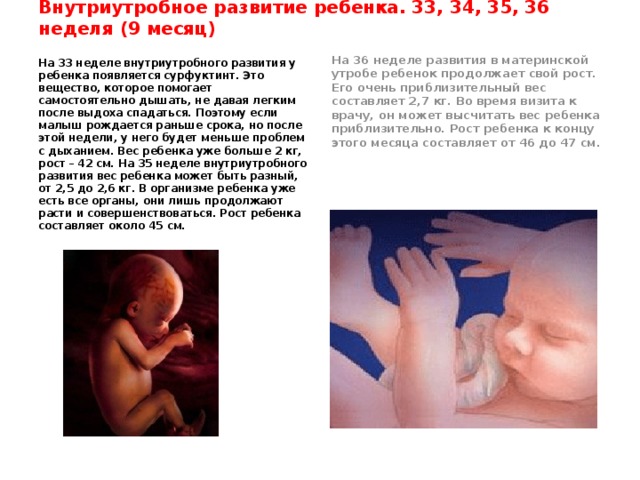 Презентация на тему развитие ребенка в утробе матери thumbnail
