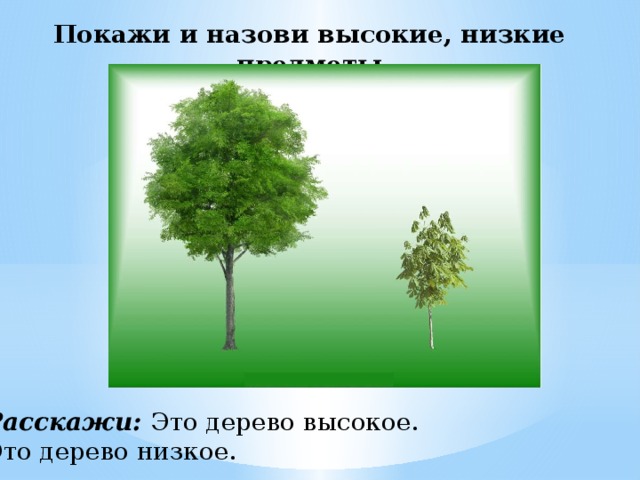 Названный выше. Высокое и низкое дерево. Выше ниже деревья. Деревья низшие и высшие. Высокое дерево низкое дерево.