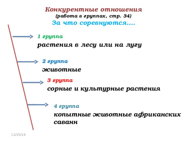 Конкурентные отношения  (работа в группах, стр. 34)  За что соревнуются…. 1 группа растения в лесу или на лугу 2 группа животные 3 группа сорные и культурные растения 4 группа копытные животные африканских саванн 12/15/16 