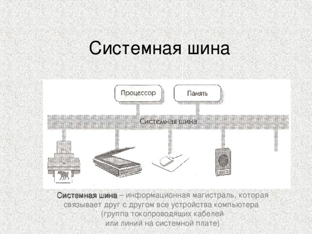 Назначением шин компьютера является устранение теплового