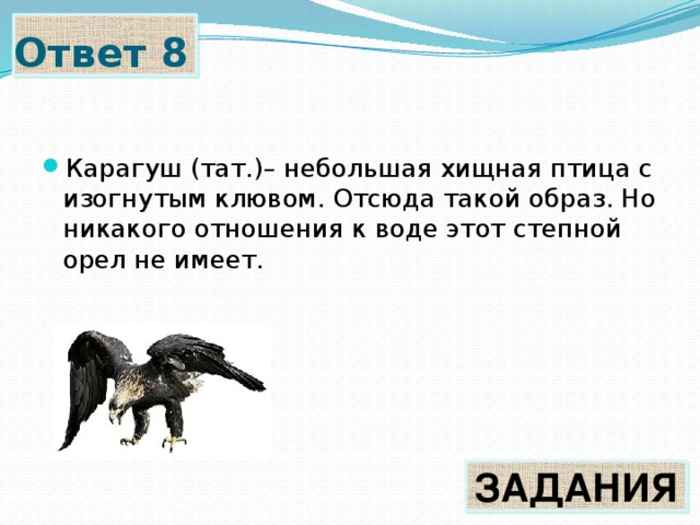 Загузынил что это такое. Смотреть фото Загузынил что это такое. Смотреть картинку Загузынил что это такое. Картинка про Загузынил что это такое. Фото Загузынил что это такое