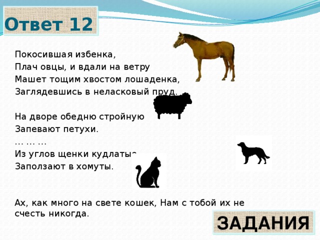Загузынил что это такое. Смотреть фото Загузынил что это такое. Смотреть картинку Загузынил что это такое. Картинка про Загузынил что это такое. Фото Загузынил что это такое
