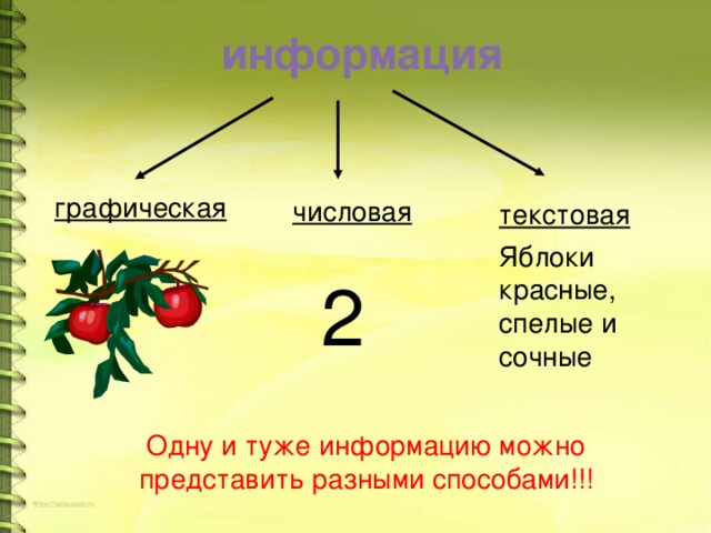 информация графическая числовая текстовая Яблоки красные, спелые и сочные 2 Одну и туже информацию можно представить разными способами!!! 