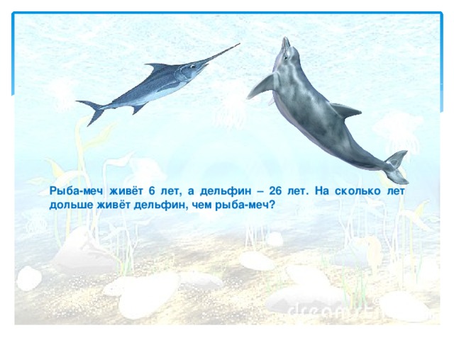    Рыба-меч живёт 6 лет, а дельфин – 26 лет. На сколько лет дольше живёт дельфин, чем рыба-меч?  