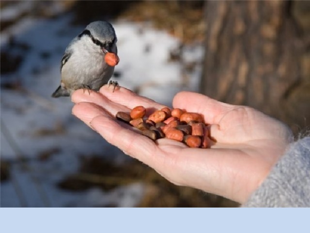 Чтобы поверить в добро,  надо начать делать его.  Л.Н.Толстой 