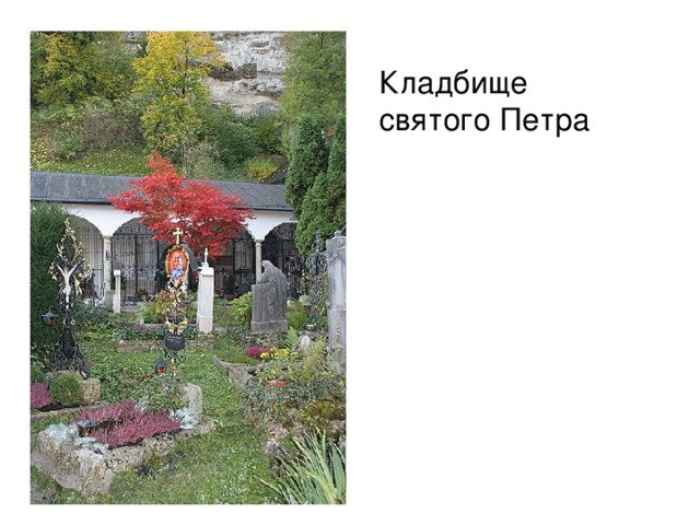 Кладбище святого Петра 