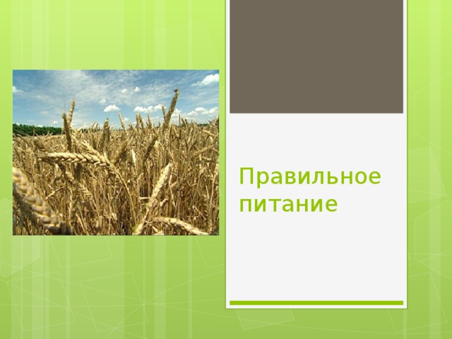 Правильное питание 