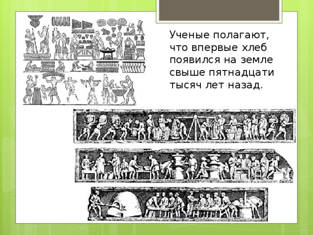 Ученые полагают, что впервые хлеб появился на земле свыше пятнадцати тысяч лет назад. 