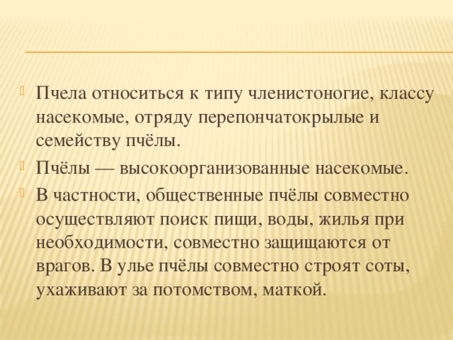 К кому относятся пчелы. Общественные насекомые пчелы и муравьи. Общая характеристика пчел. Сообщение о пчелах. К кому относятся пчелы.