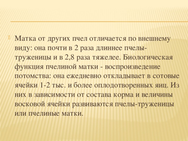 Матка от других пчел отличается по внешнему виду: она почти в 2 раза длиннее пчелы-труженицы и в 2,8 раза тяжелее. Биологическая функция пчелиной матки - воспроизведение потомства: она ежедневно откладывает в сотовые ячейки 1-2 тыс. и более оплодотворенных яиц. Из них в зависимости от состава корма и величины восковой ячейки развиваются пчелы-труженицы или пчелиные матки. 