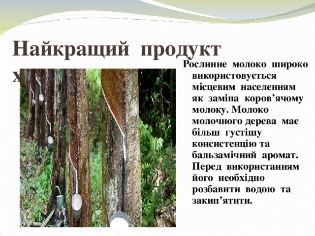 Найкращий продукт  харчування Рослинне молоко широко використовується місцевим населенням як заміна коров’ячому молоку. Молоко молочного дерева має більш густішу консистенцію та бальзамічний аромат. Перед використанням його необхідно розбавити водою та закип’ятити. 