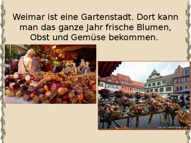 Weimar ist eine Gartenstadt. Dort kann man das ganze Jahr frische Blumen, Obst und Gemüse bekommen. 
