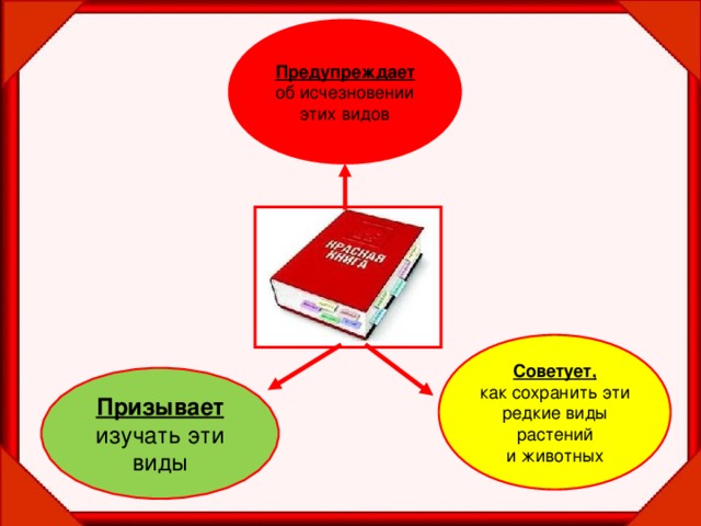 Предупреждает об исчезновении этих видов Советует, как сохранить эти редкие виды растений и животных Призывает изучать эти виды 