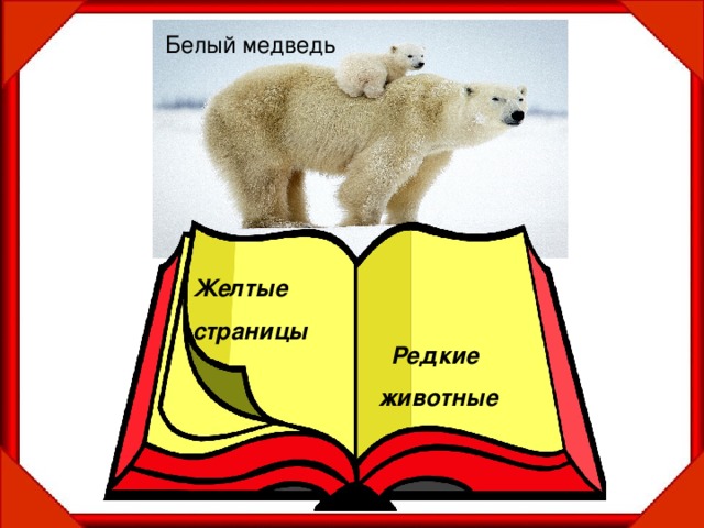 Белый медведь Желтые страницы Редкие животные 