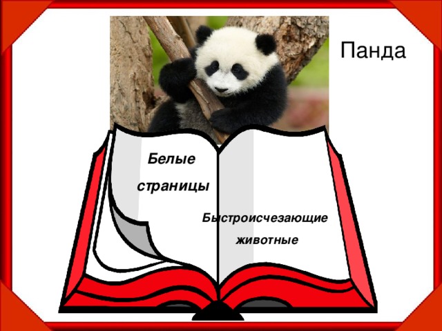 Панда Белые страницы Быстроисчезающие животные 