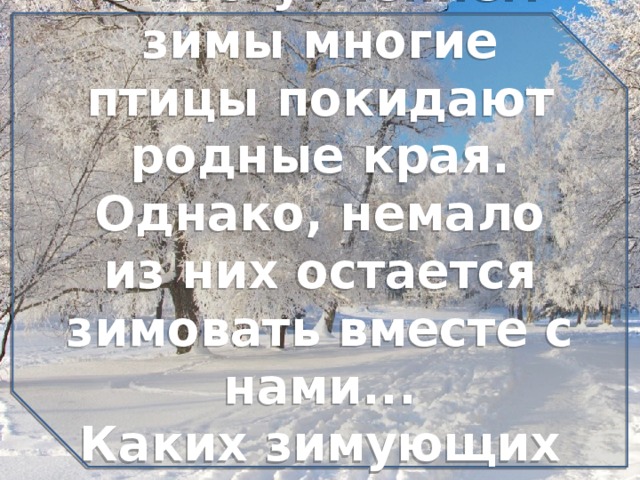 Остаемся зимовать. Перезимуем вместе. Покидаю родные края. С приходом зимы многие птицы покидают наши края. Давай вместе Перезимуем.