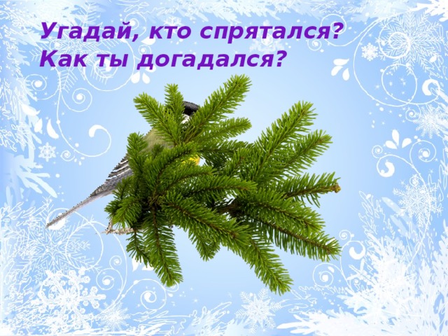 Угадай, кто спрятался? Как ты догадался? 