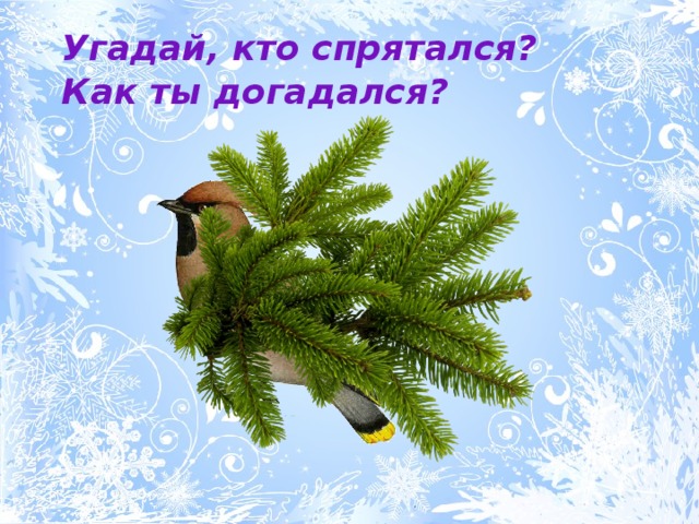 Угадай, кто спрятался? Как ты догадался? 