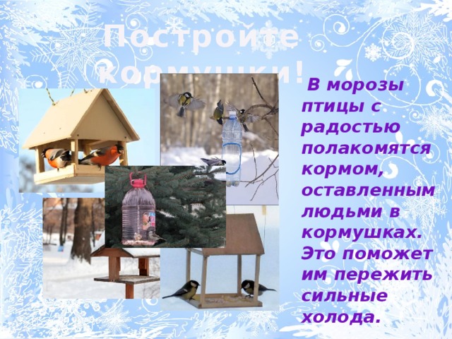 Постройте кормушки!  В морозы птицы с радостью полакомятся кормом, оставленным людьми в кормушках. Это поможет им пережить сильные холода. 
